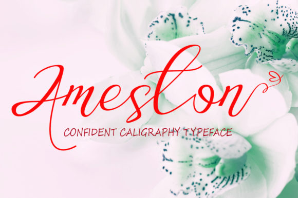 Ameston: A Versatile Font for Creative Web Design