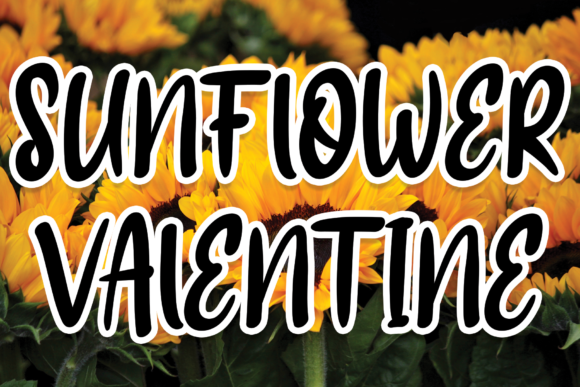 Bringing Sunflower Valentine to Life in Branding