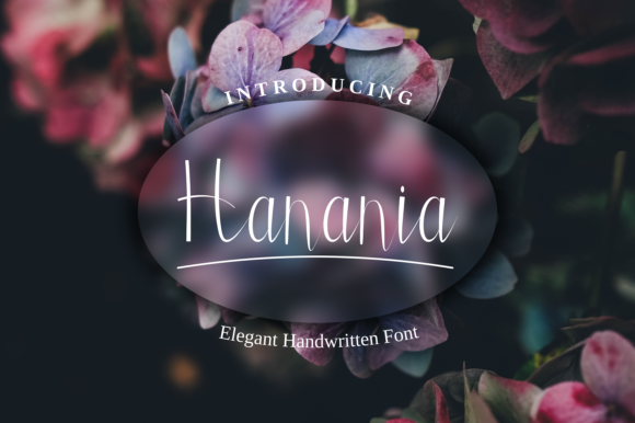 Enhance Your Campaign with Hanania, the Elegant Script Font