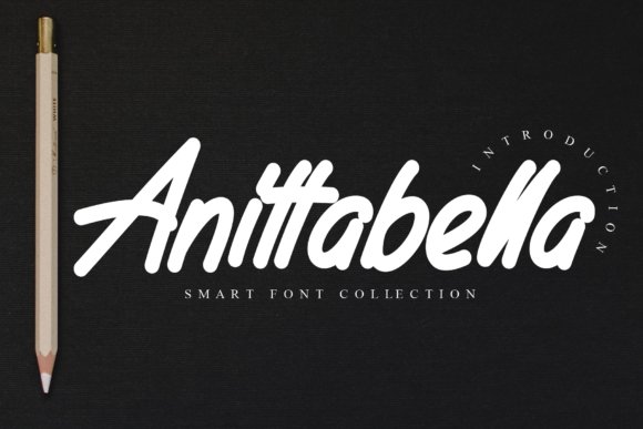 Enhance Your Web Design with Anittabella Font