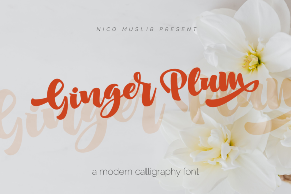 Ginger Plum: A Handwritten Font for Creative Campaigns
