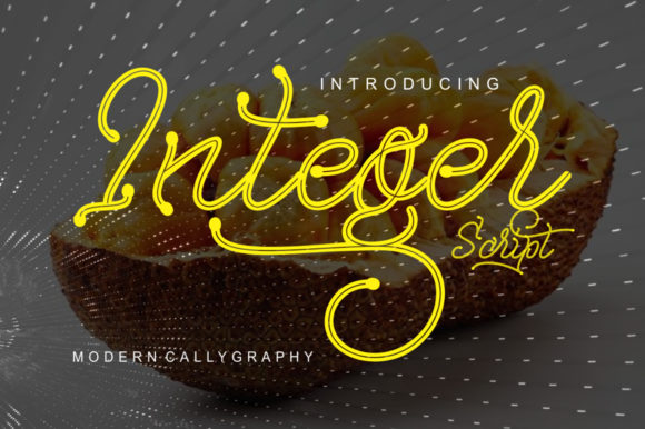 Integer: A Versatile Script Font for Creative Campaigns