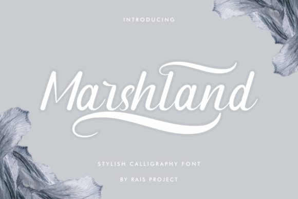 Marshland: A Handwritten Font for Elegant Branding