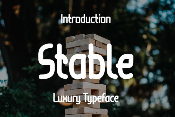 Stable: A Versatile Script for Modern Projects
